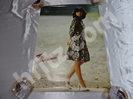石川ひとみ 販促ポスター プロフィール A1サイズ:594x841mm買取