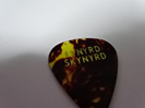 当店が過去に買取したレーナード・スキナード (Lynyrd Skynyrdのギターピック画像