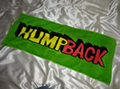 HUMP BACKフェイスタオル買取価格