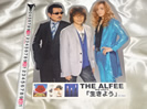 THE ALFEEの販促POP