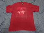 デフ・レパード　(c)1996 スラング Tシャツ　TULTEXタグ　DEF LEPPARD