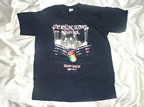 ザ・ローリングストーンズ　Tシャツ　A BIGGER BANG スレーン城