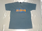 ジミー・ペイジ&ロバート・プラントworld tour1995 Tシャツ