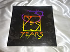 YES1998年パンフレット