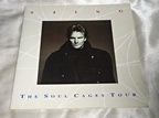 STINGパンフレットTHE SOUL CAGES TOUR買取価格