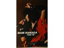 浜田麻里1985年ツアーパンフレットRAINBOW DREAM MISTY LADY