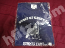 BUMP OF CHICKEN 2013夏フェス Tシャツ
