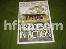 プリンセス・プリンセス コンサートのパンフレットなどの買取価格帯