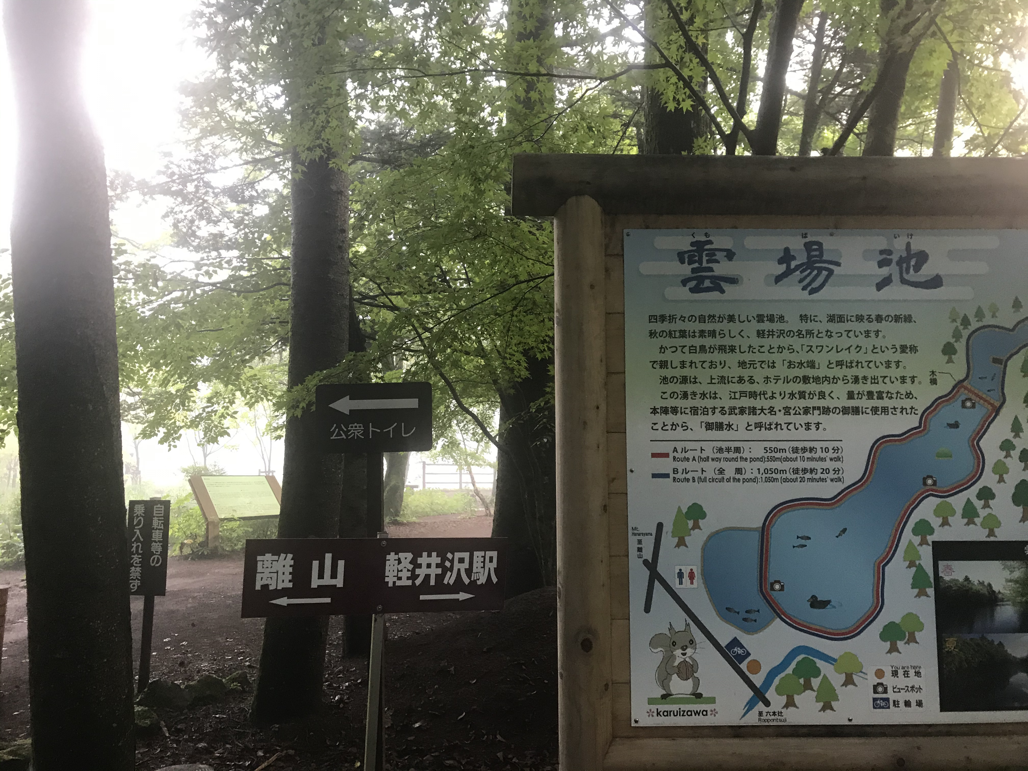軽井沢の雲場池