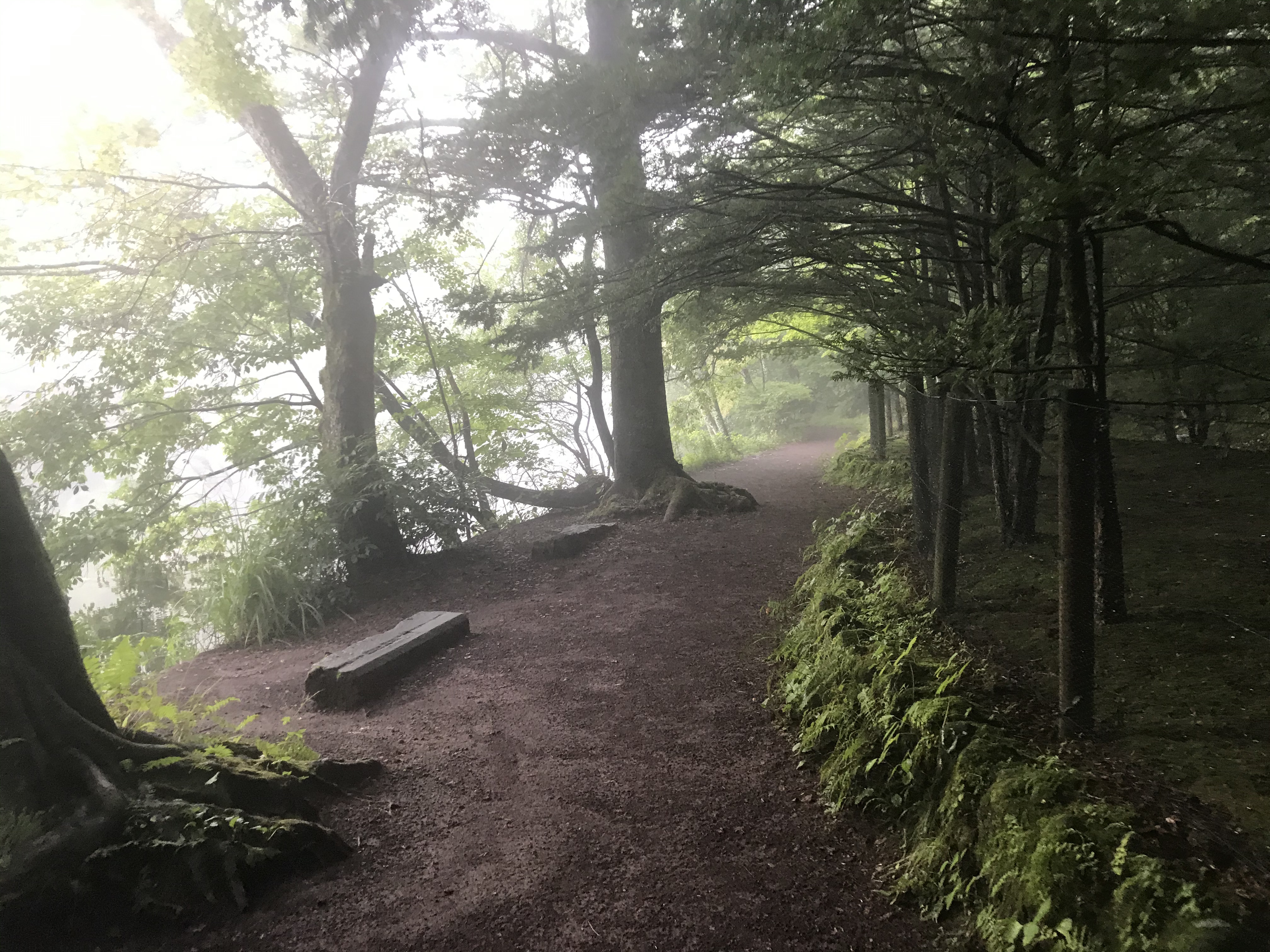 軽井沢の雲場池