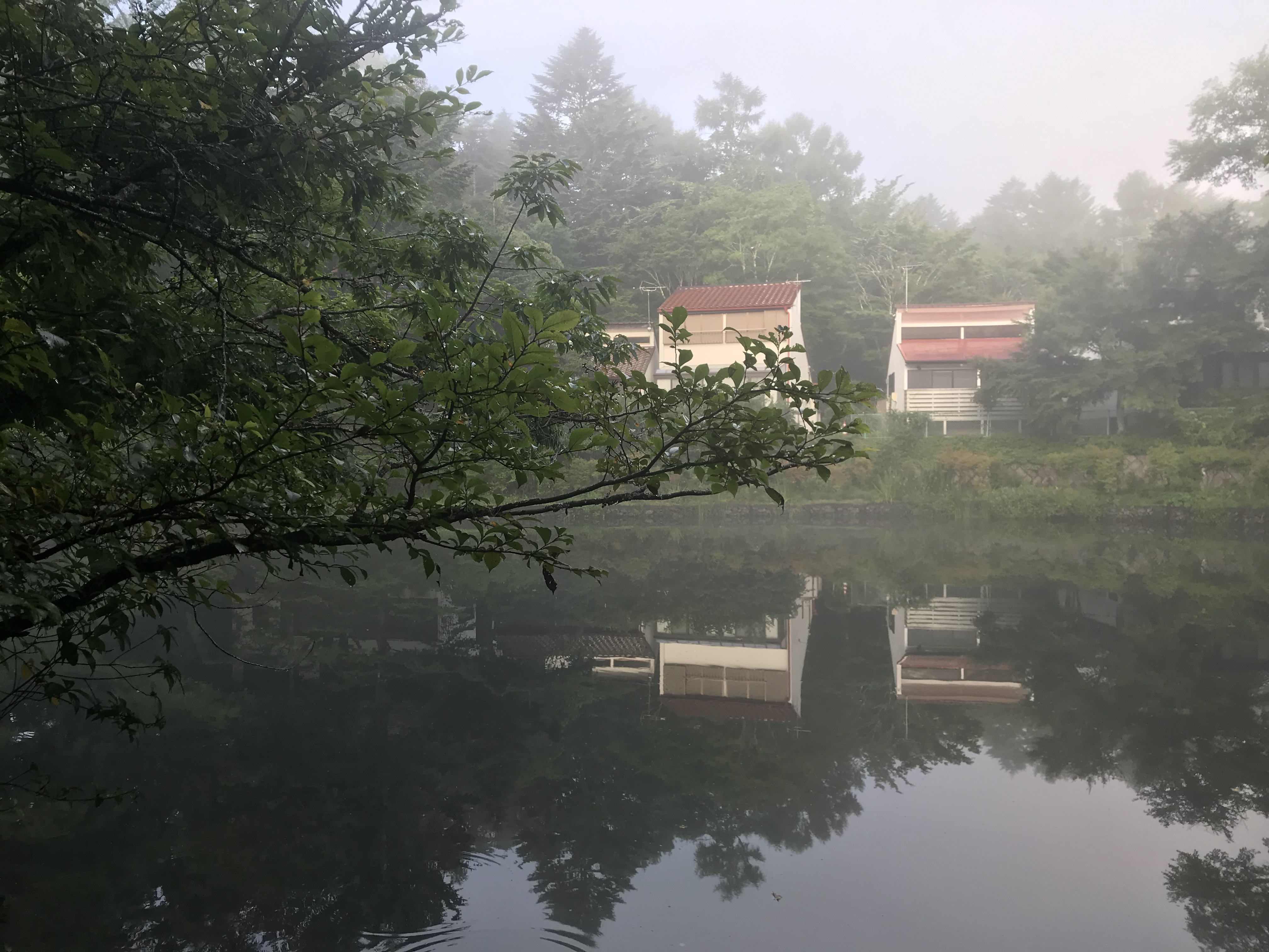 軽井沢の雲場池