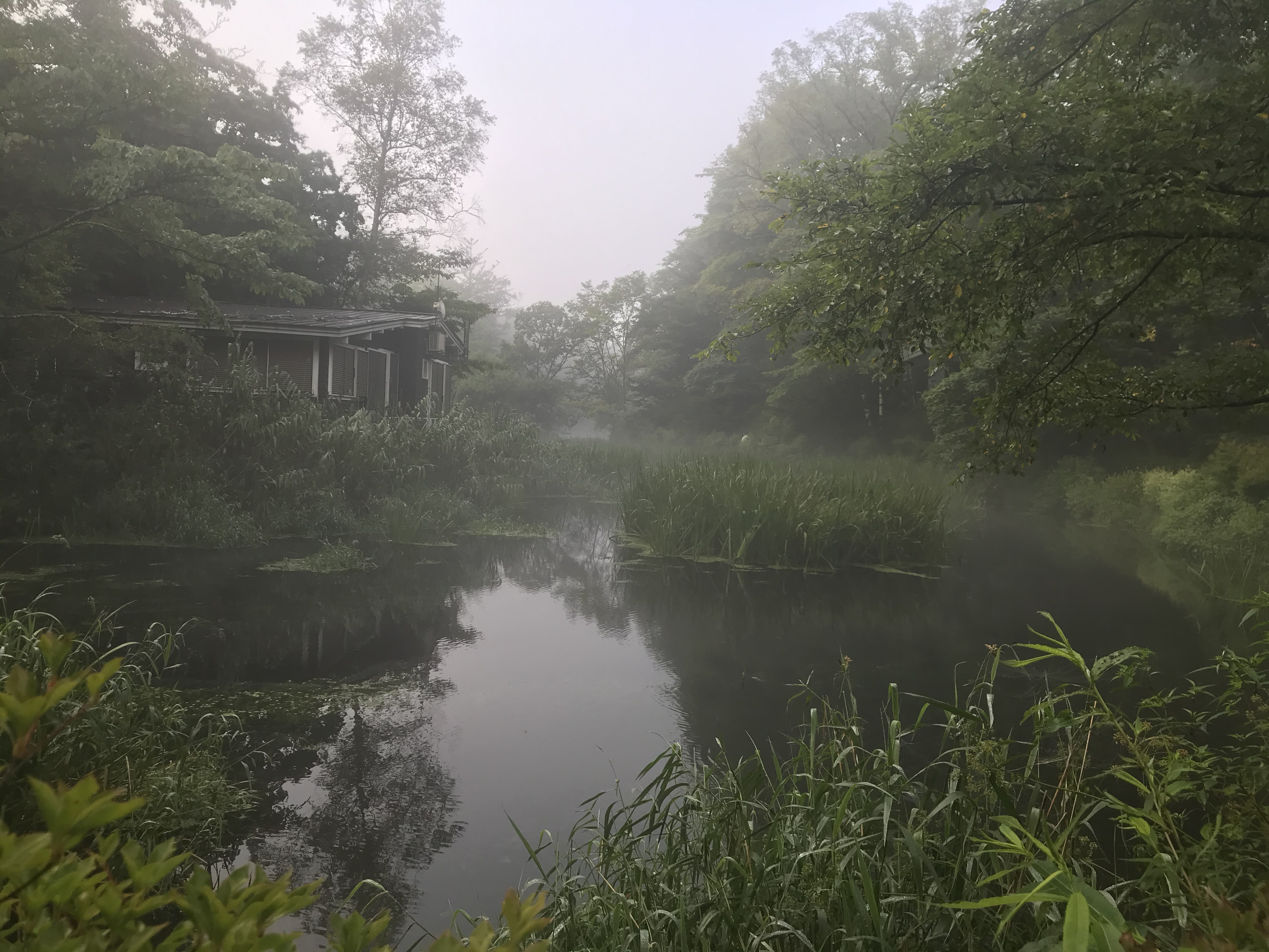 軽井沢の雲場池